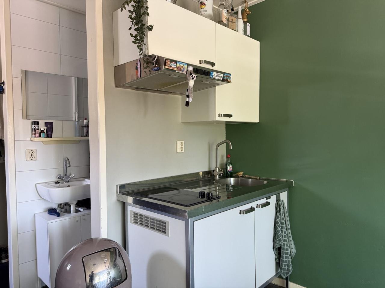 Room of 22 m² with private kitchen - Image 6