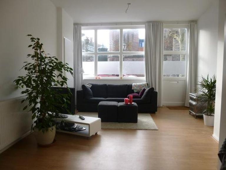 2-kamer appartement met tuin in Leiden - Afbeelding 3