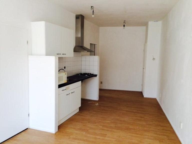 2-kamer appartement met tuin in Leiden - Afbeelding 6