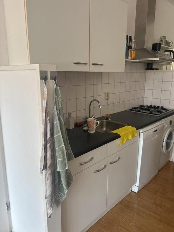 2-kamer appartement met tuin in Leiden - Afbeelding 7