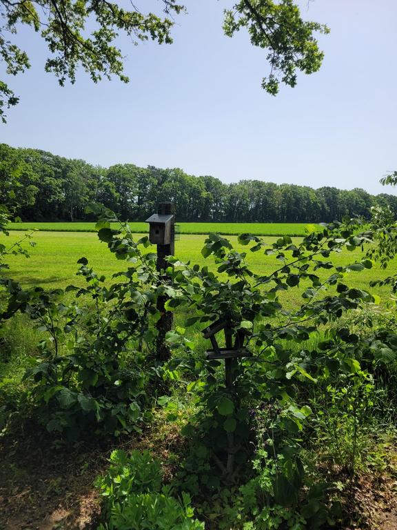 Vrij uitzicht en tuin in Aalten - Afbeelding 15