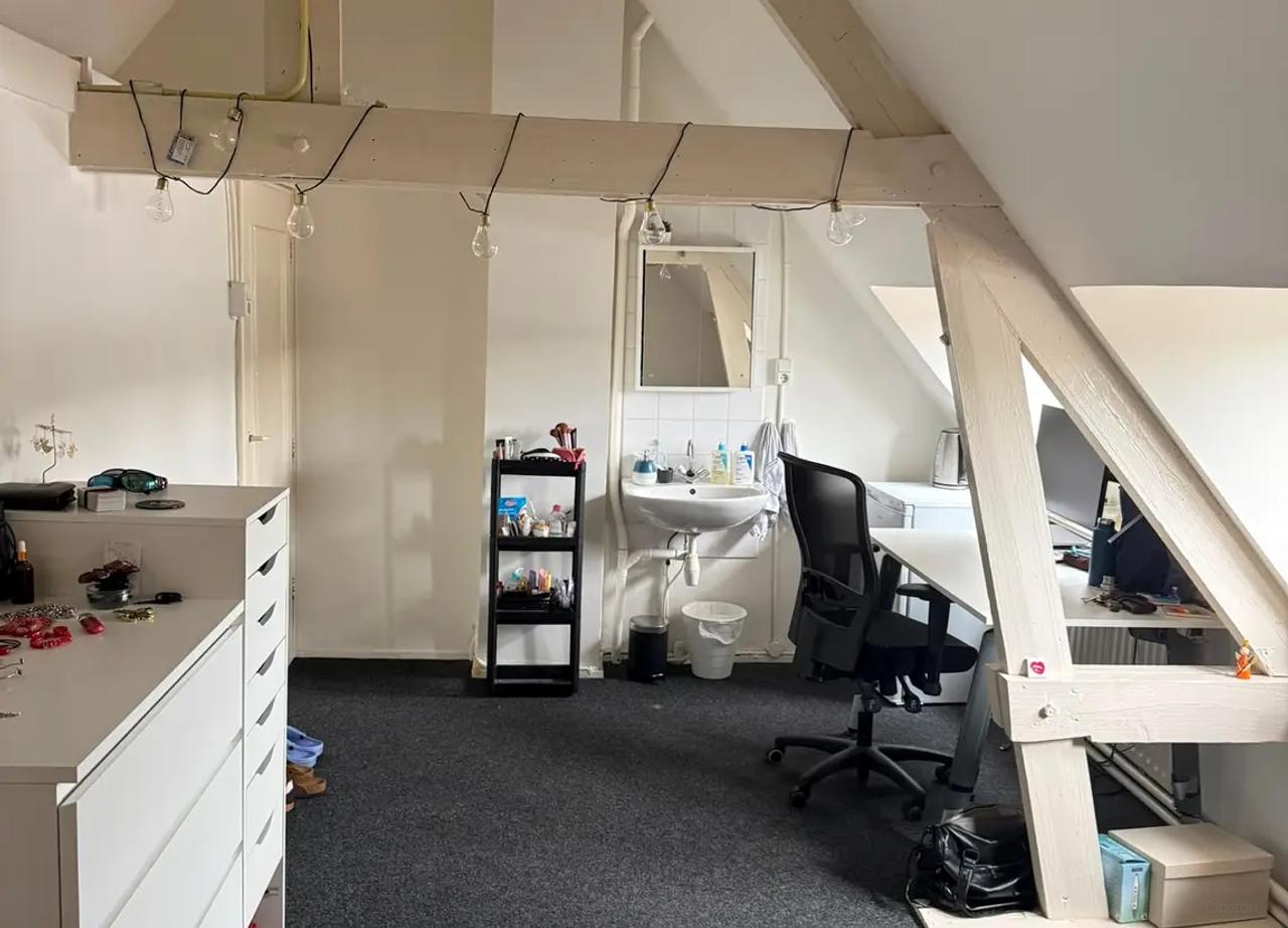 Studentenkamer van 17 m2 met dakterras - Afbeelding 5