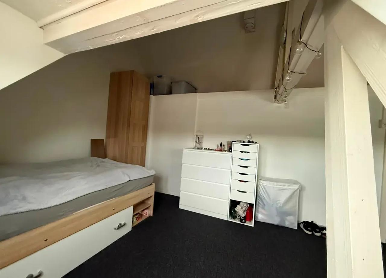 Studentenkamer van 17 m2 met dakterras - Afbeelding 7