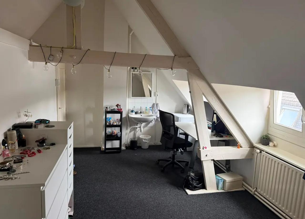 Studentenkamer van 17 m2 met dakterras - Afbeelding 4