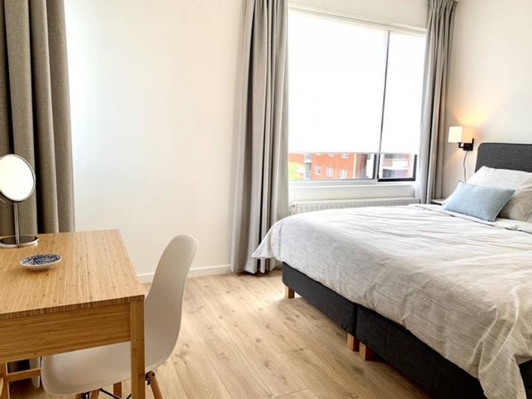 Gemeubileerd 4-kamerappartement in Stadshart - Afbeelding 9
