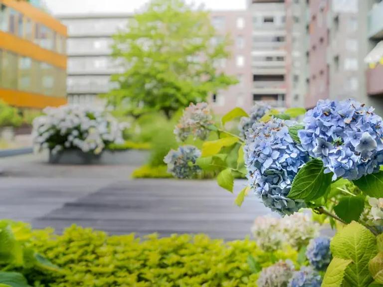 81 m2 met balkon en parkeerplek - Afbeelding 19
