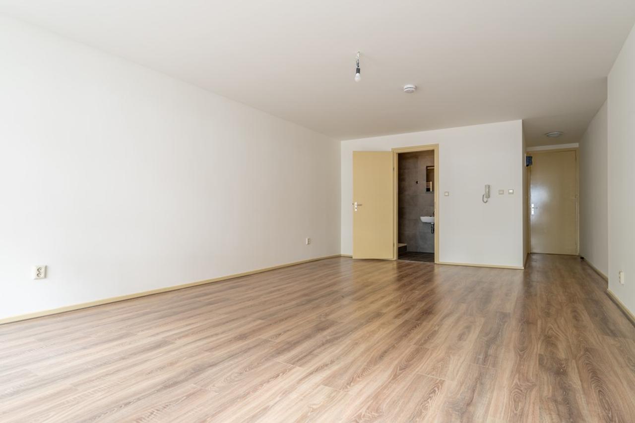 Lichte studentenkamer van 40 m2 in Zeist - Afbeelding 7
