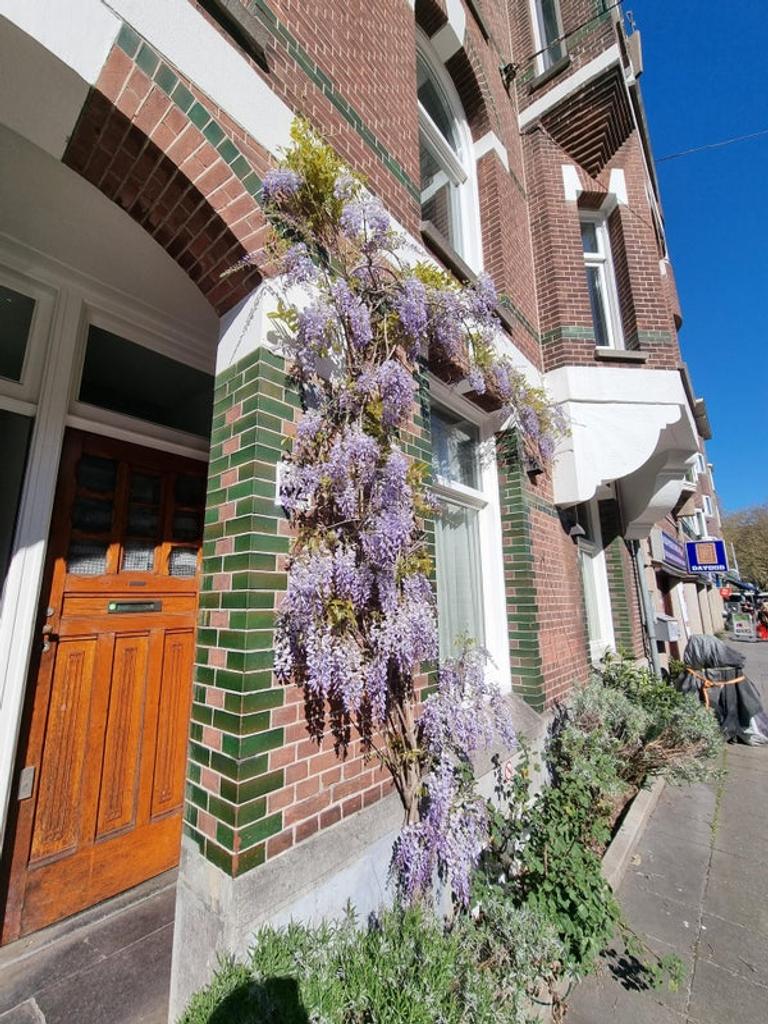 Gemeubileerd 3-kamerappartement West - Afbeelding 2