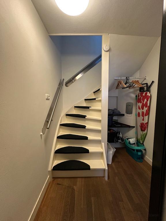 3-kamerappartement met terras in de Jordaan - Afbeelding 10
