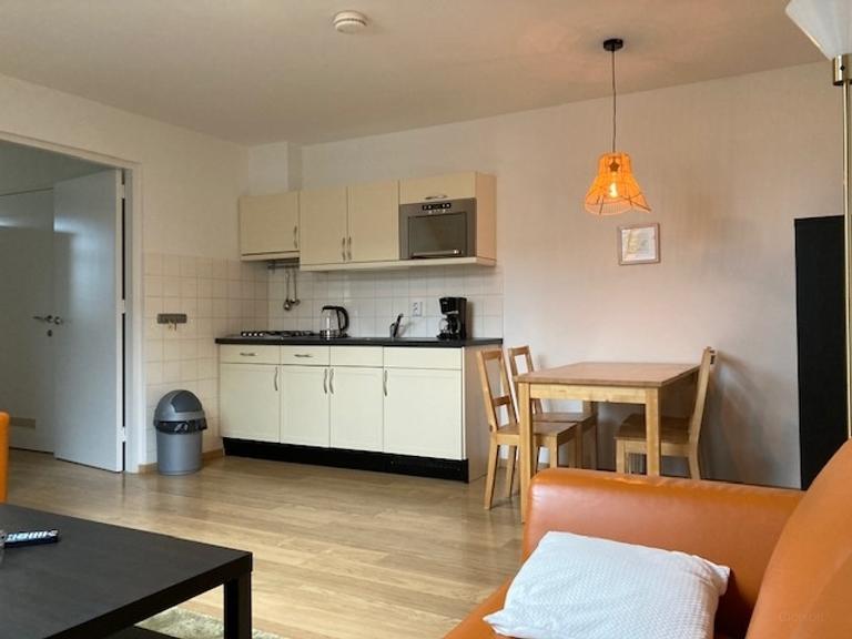 Gemeubileerd appartement in tiendschuur Ohé en Laak - Afbeelding 8