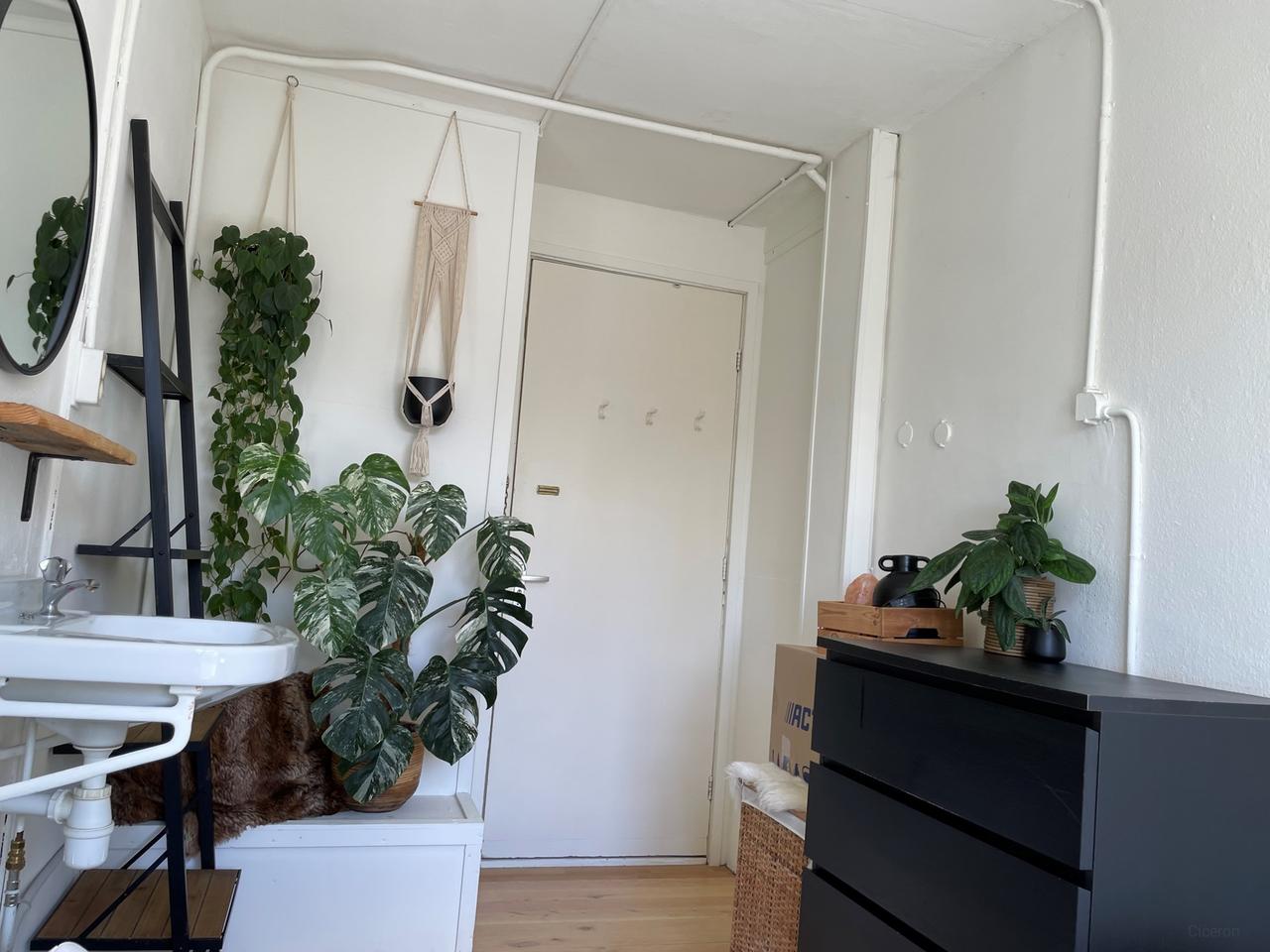 Student room of 25 m2 in Helpman - Image 7