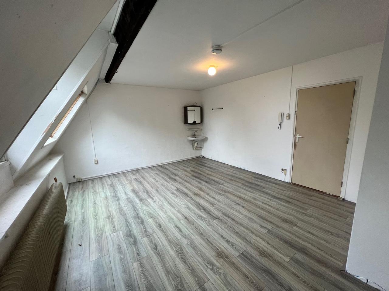 Kamer van 28 m² met eigen keuken in Statenkwartier - Afbeelding 2