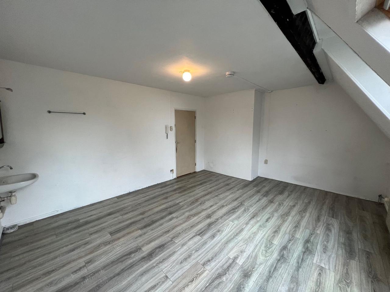Kamer van 28 m² met eigen keuken in Statenkwartier - Afbeelding 3