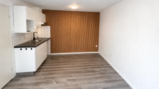 Benedenwoning met terras bij Sonsbeek - Afbeelding 3