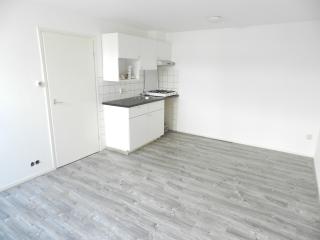 Benedenwoning met terras bij Sonsbeek - Afbeelding 4