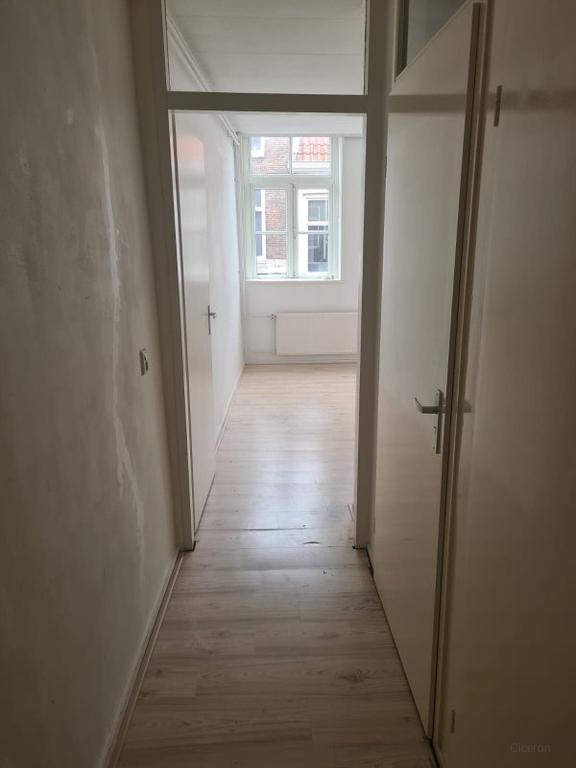 Wonen aan de Diezerpoortenplas - Afbeelding 7