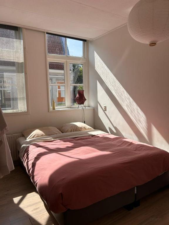 Wonen aan de Diezerpoortenplas - Afbeelding 8