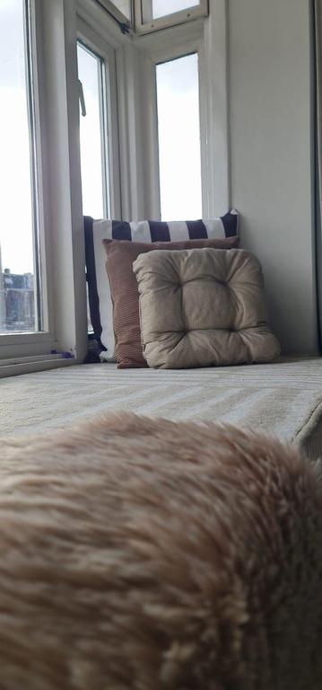 Balkon en woonkeuken in Utrecht West - Afbeelding 5