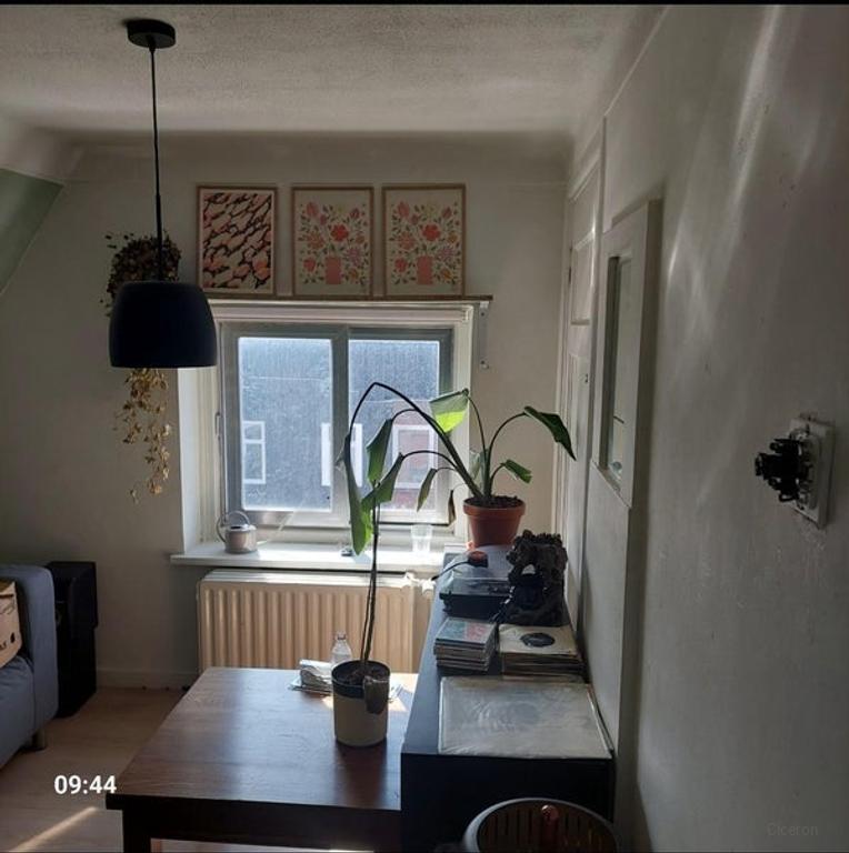 Lichte studentenkamer met tuin in Tilburg - Afbeelding 5