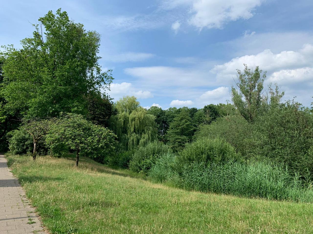 Eengezinswoning met tuin in De Hoven - Afbeelding 2