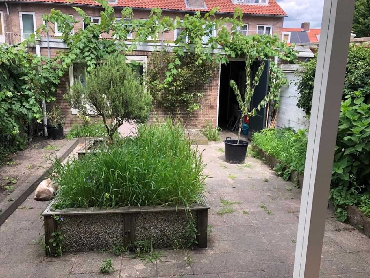 Gemeubileerd huis met 6 slaapkamers - Afbeelding 14
