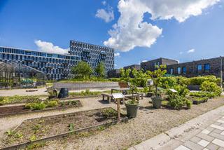 3-kamerappartement met terras en parking - Afbeelding 8