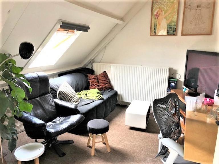 Studentenkamer van 30 m² aan De IJzeren Vrouw - Afbeelding 3