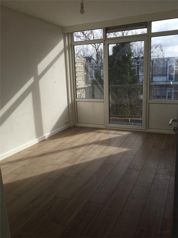 Gemeubileerde kamer in Oud-Mathenesse - Afbeelding 5