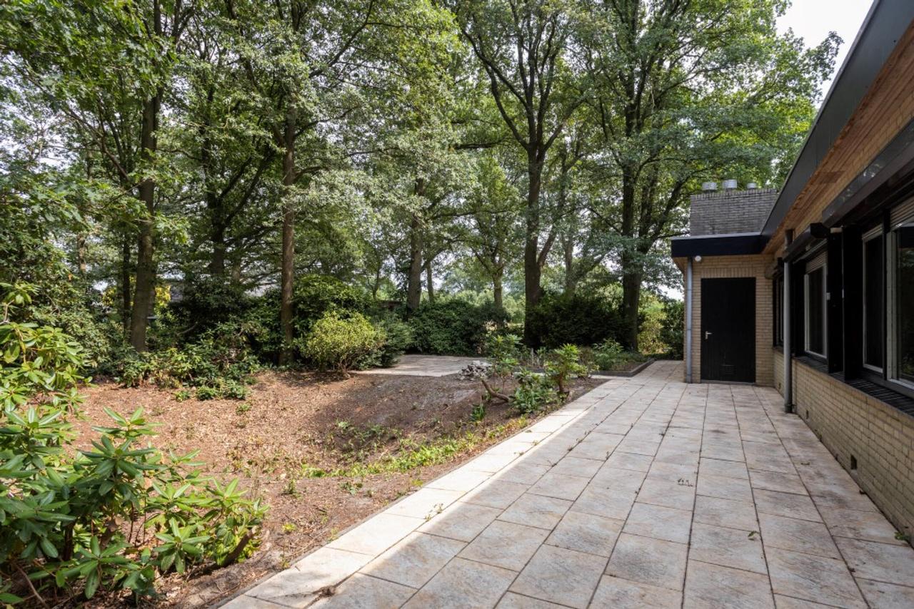 Vrijstaande bungalow met bosrijke tuin - Afbeelding 19