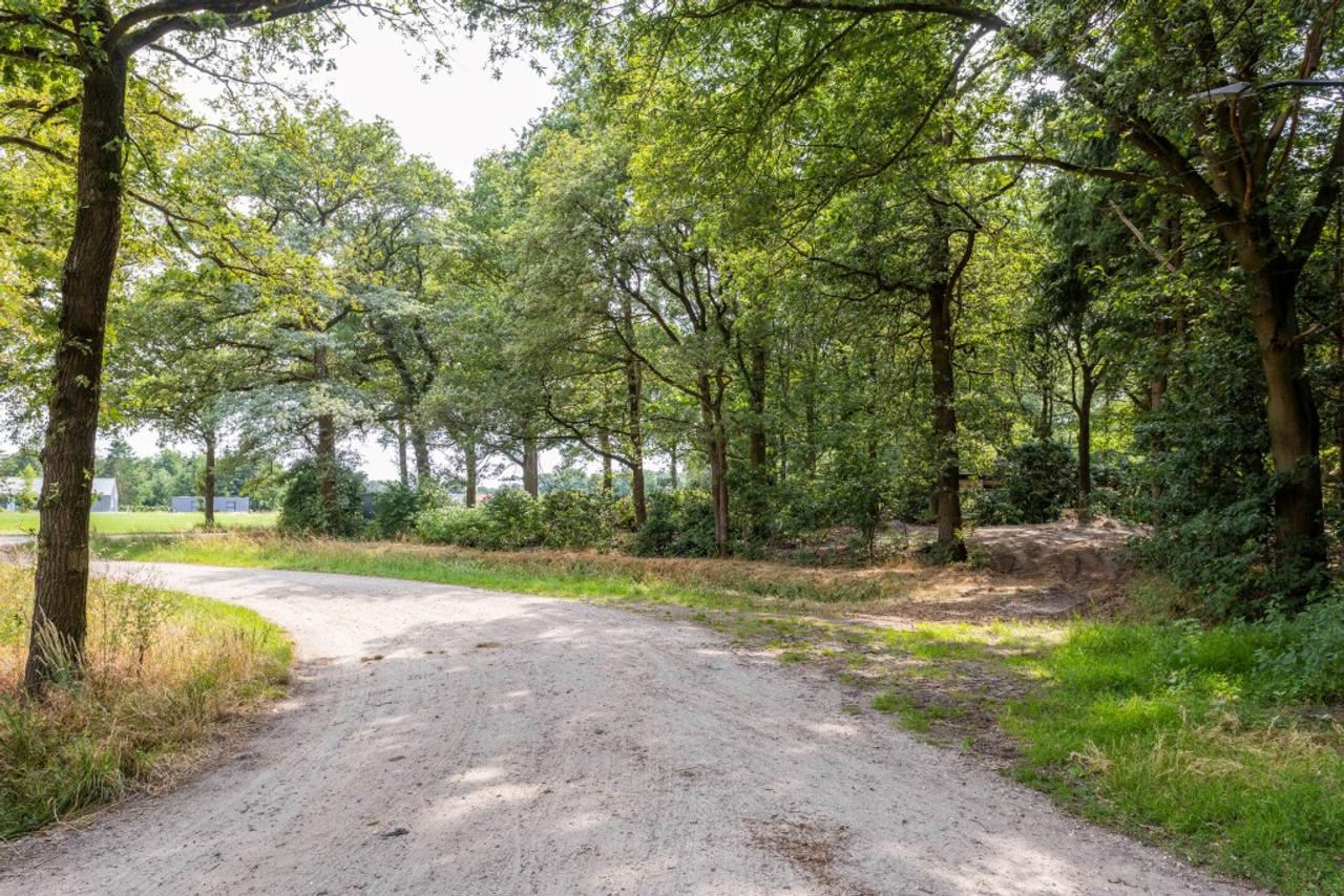 Vrijstaande bungalow met bosrijke tuin - Afbeelding 23