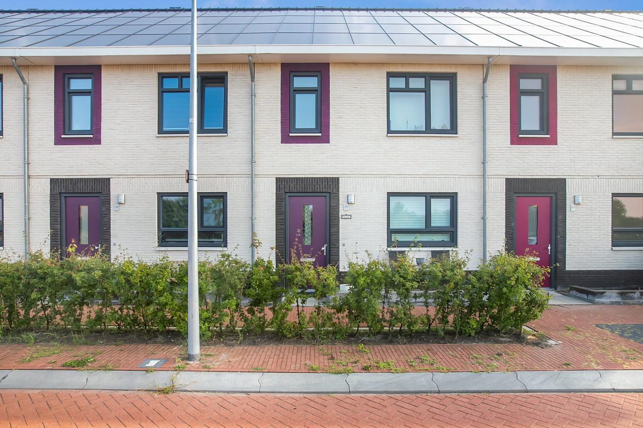 Energiezuinige woning met tuin in Flora West - Afbeelding 1