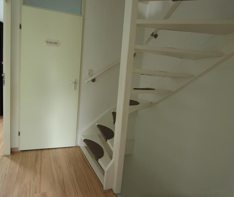 4-slaapkamer huis met tuin in Waterwijk - Afbeelding 10