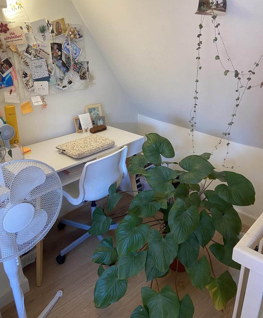 50 m2 appartement aan Jansveld - Afbeelding 2
