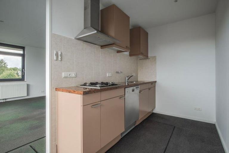 Penthouse met groot terras in Arnhem - Afbeelding 3