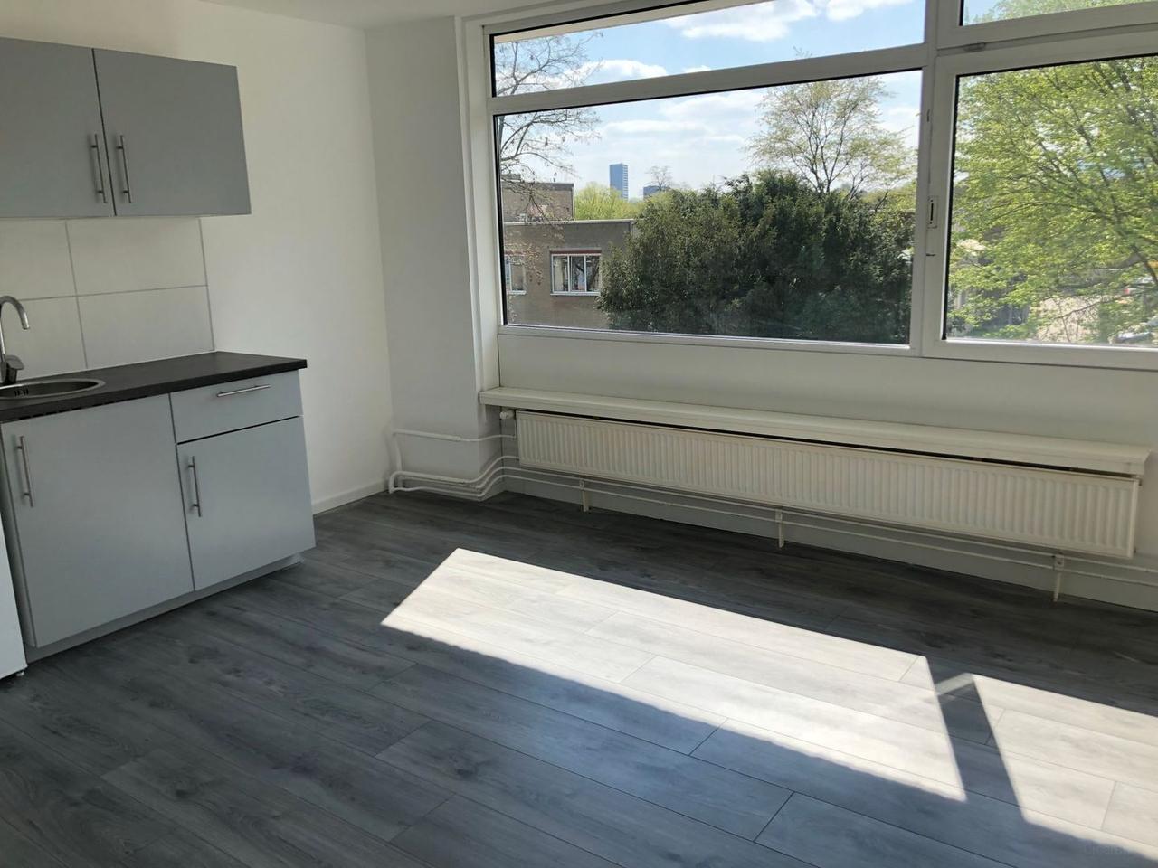 Studio with bedroom and roof terrace - Image 8