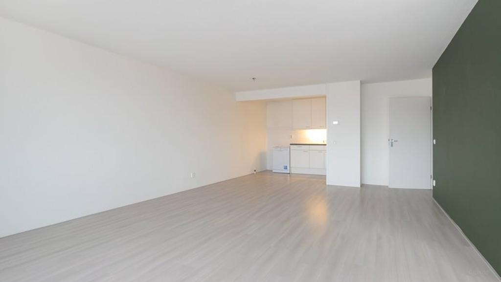 Licht 3-kamerappartement met balkon - Afbeelding 3