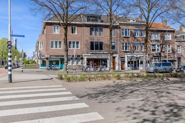 Dakterras in hartje Maastricht - Afbeelding 1