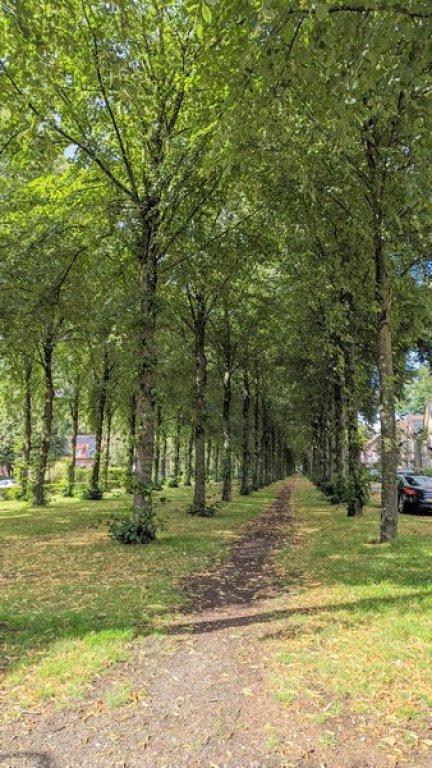 Studio met eigen terras en slaapverdieping - Afbeelding 12