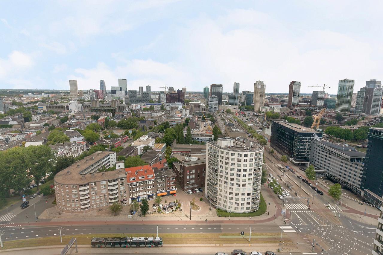 View of the Maas River near the Erasmus Bridge - Image 7