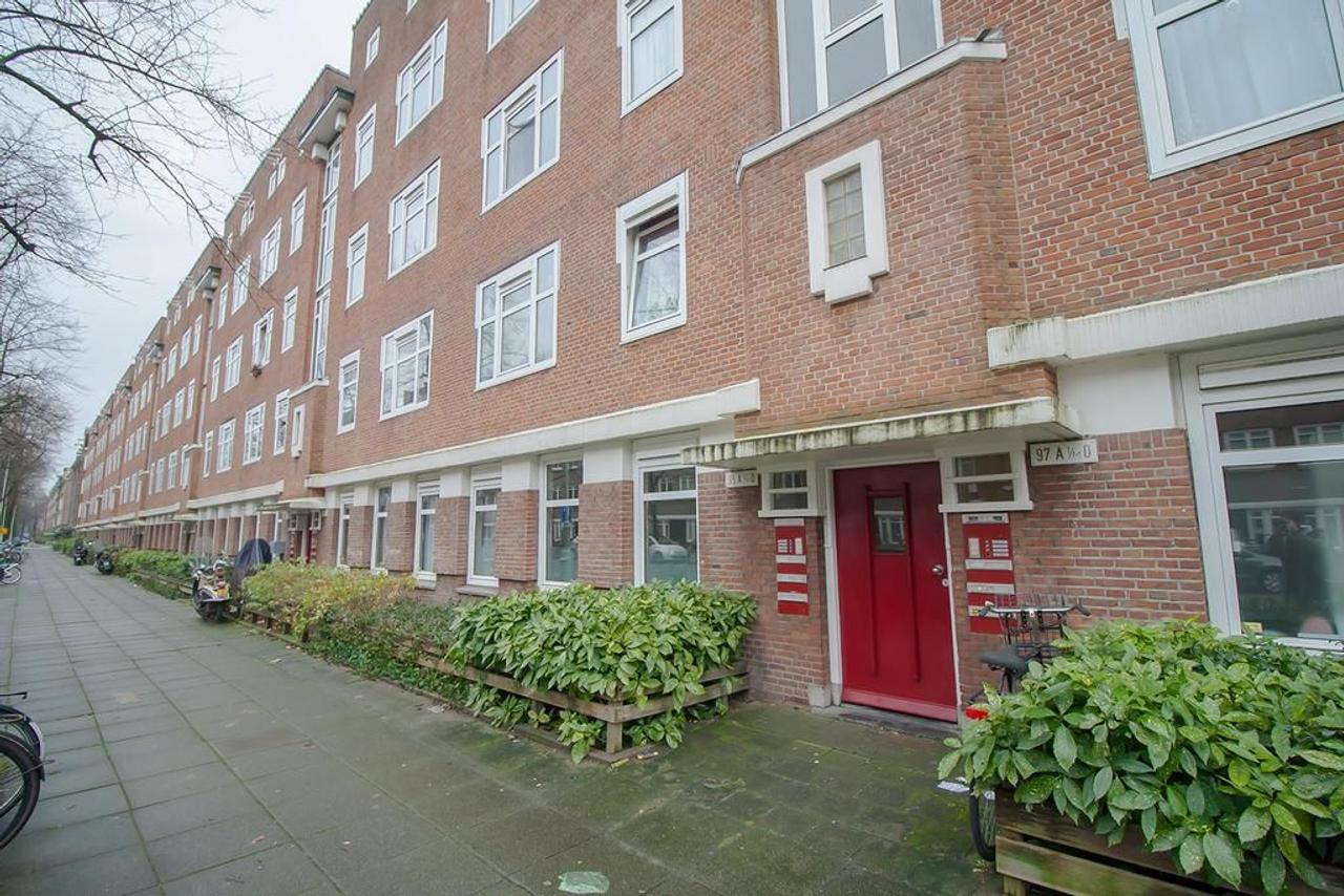 Zonnige tuin in de Stadionbuurt - Afbeelding 22