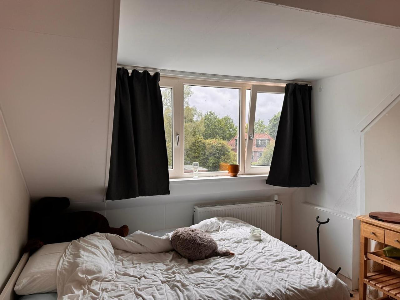 Studentenkamer met balkon in Princenhage - Afbeelding 9