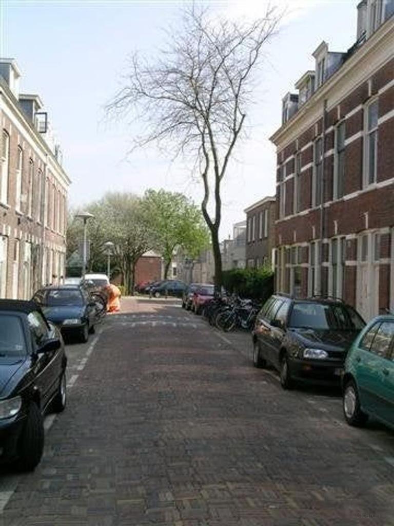 Gemeubileerd huis met tuin in Oudwijk - Afbeelding 2