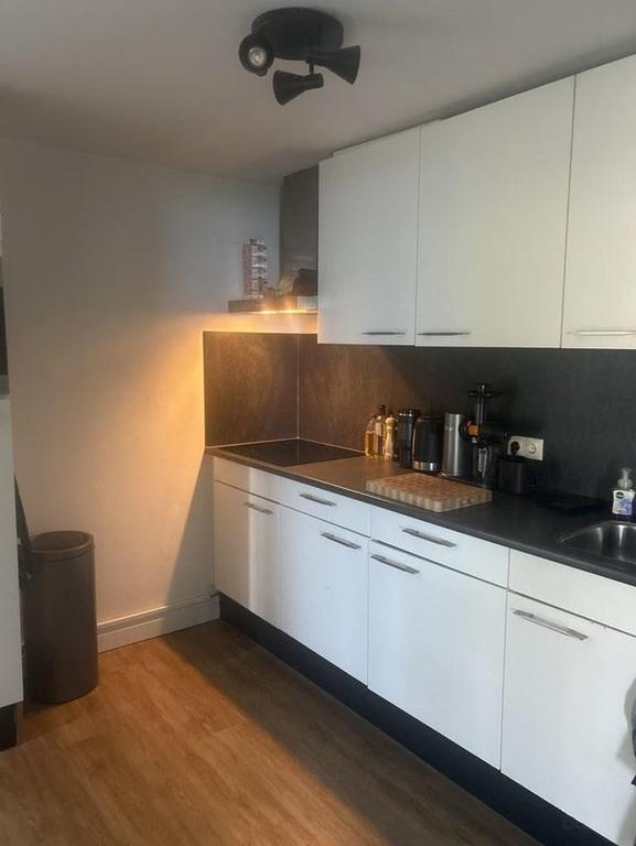 3-kamer appartement met tuin in Leiden - Afbeelding 5