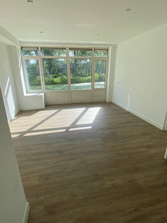 3-kamer appartement met tuin in Leiden - Afbeelding 7