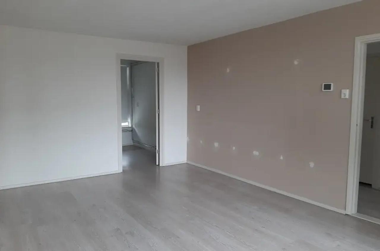 Zonnig dakterras bij Wijkerbaan - Afbeelding 2