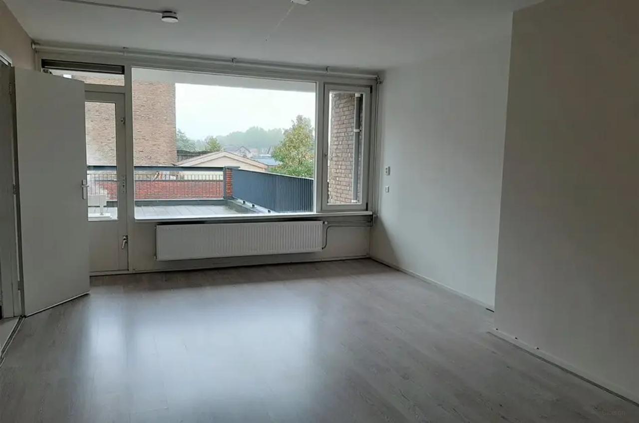 Zonnig dakterras bij Wijkerbaan - Afbeelding 3
