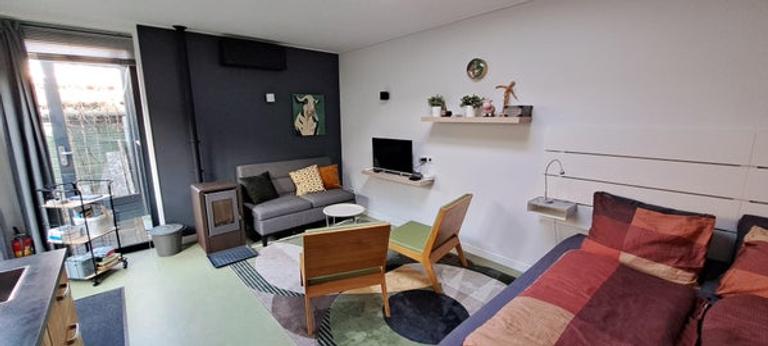 Gemeubileerde studio met tuin aan Peizerweg - Afbeelding 2