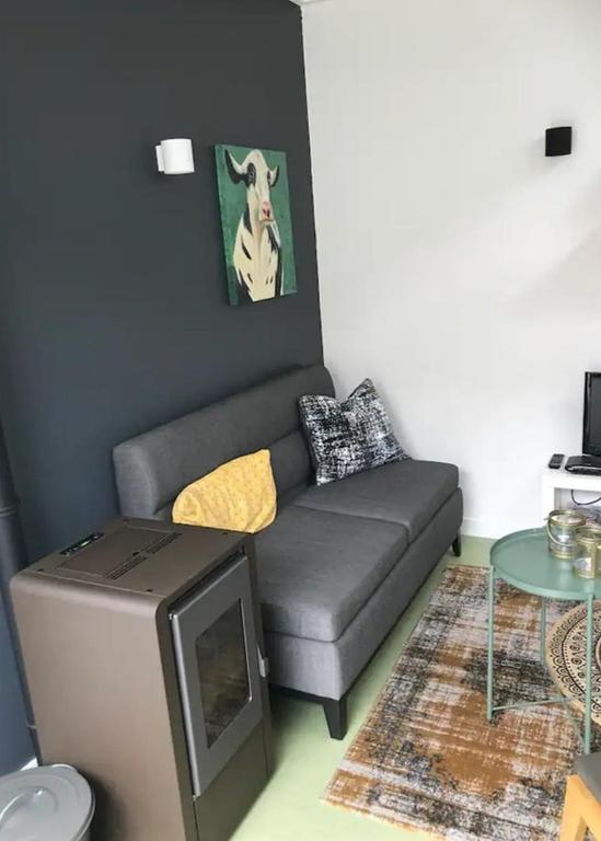 Gemeubileerde studio met tuin aan Peizerweg - Afbeelding 9