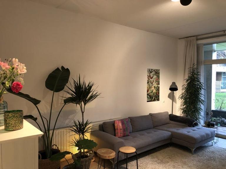 3-slaapkamer appartement met tuin in IJburg - Afbeelding 2
