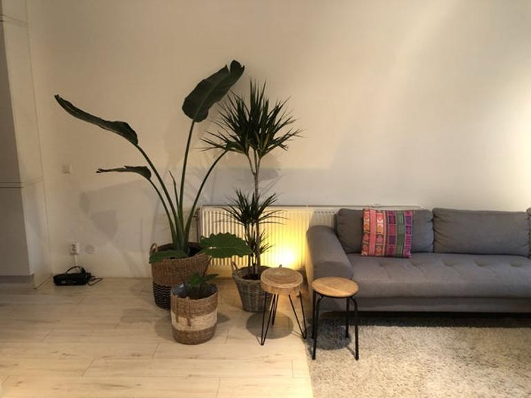 3-slaapkamer appartement met tuin in IJburg - Afbeelding 3